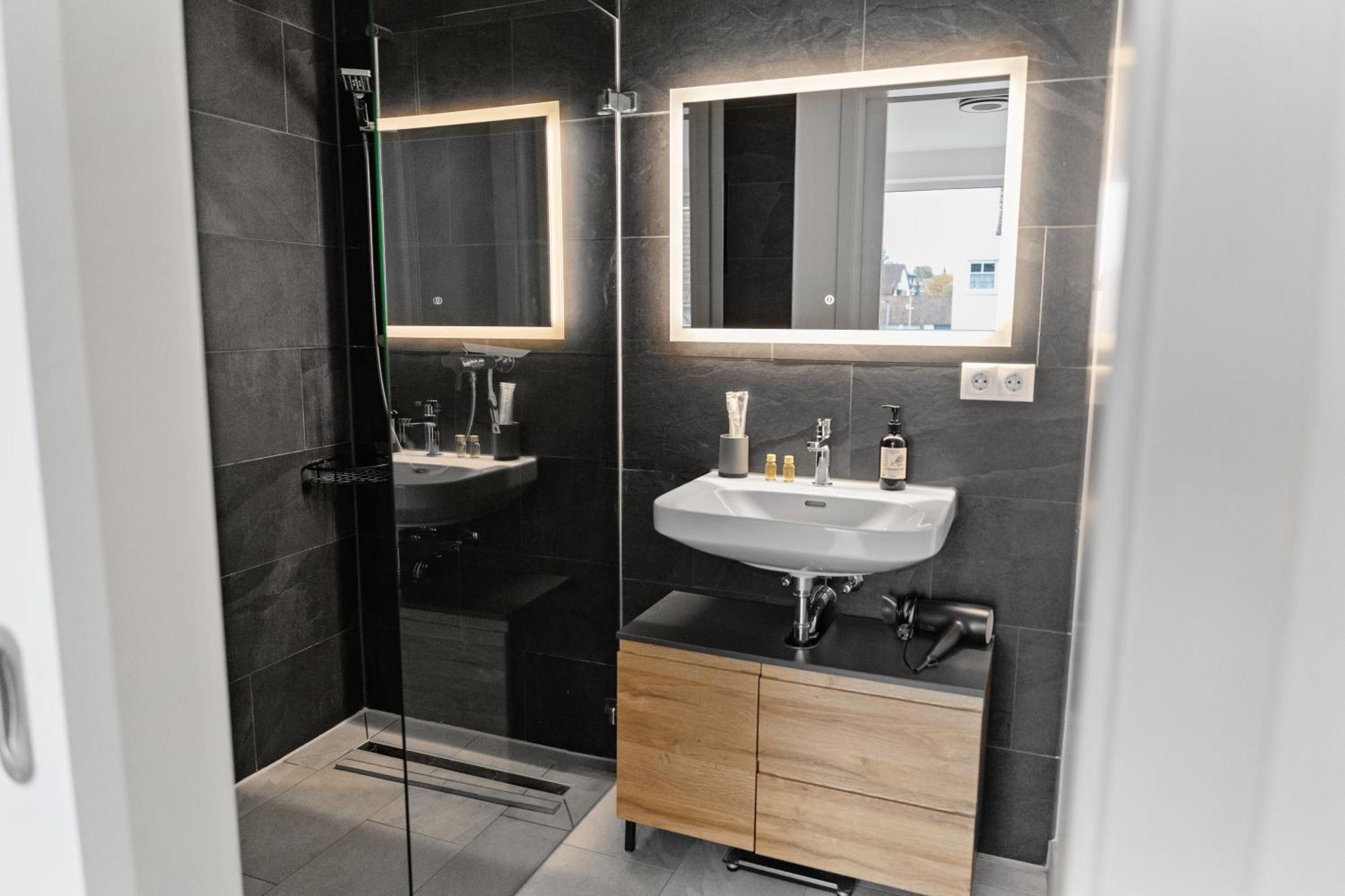 Modern Style Business Suite - Office - Kitchen - Balcony Herzogenaurach Eksteriør billede
